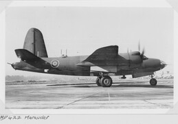 HD422 Martin Marauder III