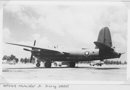 HD549 Martin Marauder III