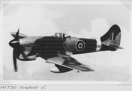 JN730 Hawker Tempest V