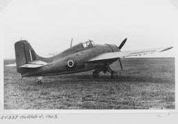 JV337 Grumman Martlet V