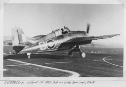 JV338 Grumman Wildcat IV