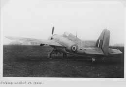 JV646 Grumman Wildcat VI
