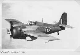 JV642 Grumman Wildcat VI