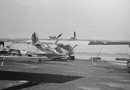 Consolidated Catalina