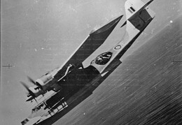 AH548 Consolidated Catalina