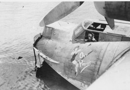 Consolidated Catalina