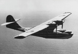 Consolidated Catalina