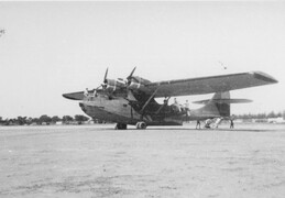 Consolidated Catalina