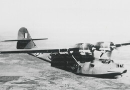 Consolidated Catalina