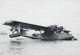 AM269 Consolidated Catalina II