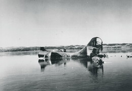 FP287 Consolidated Catalina I