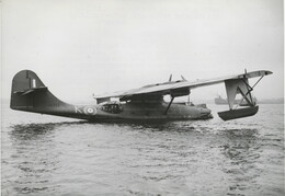 AM269 Consolidated Catalina II