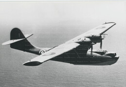 Consolidated Catalina
