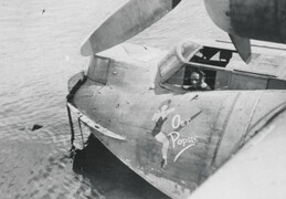 Consolidated Catalina