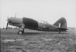 FF524 Brewster Bermuda