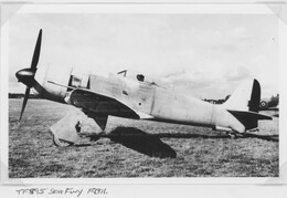 TF895 Hawker Sea Fury FB11