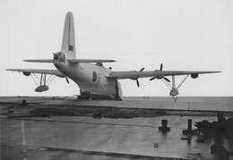 ML765 Short Sunderland V