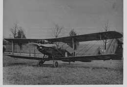 Bristol Fighter