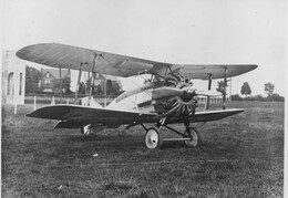 Gloster Gamecock
