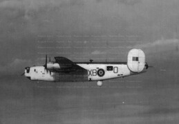 Consolidated B-24 Liberator