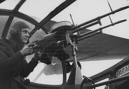 Consolidated Catalina