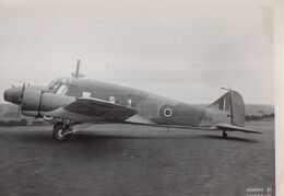 NK870 Avro Anson