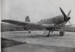 EK60? Blackburn Firebrand