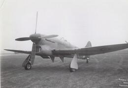 NX116 Hawker Tempest