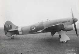 NX116 Hawker Tempest