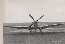 NS487 Supermarine Seafire XV