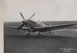 NS487 Supermarine Seafire XV