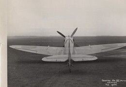 NS4?? Supermarine Seafire XV