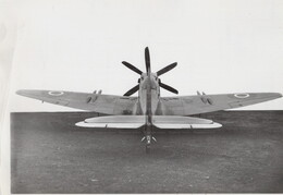 Supermarine Seafire Mk 46