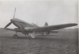 Blackburn Firebrand