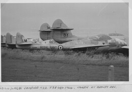 XA164 de Havilland Sea Vampire T22