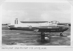 XN501 Hunting Percival Jet Provost T3