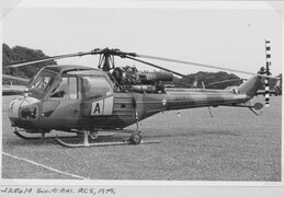 XW284 Westland Scout AH1