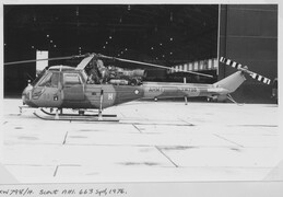 XW798 Westland Scout AH1