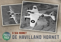46) DH Hornets