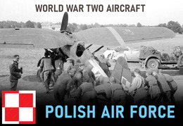 Polish aircraft