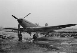 DD804 Blackburn Firebrand