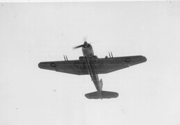 Blackburn Firebrand