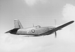 DD815 Blackburn Firebrand