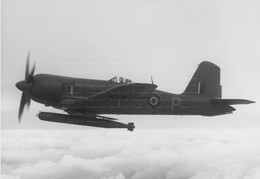 Blackburn Firebrand