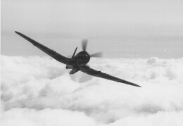 Blackburn Firebrand