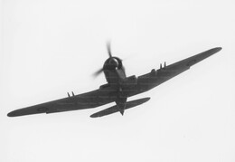 Blackburn Firebrand