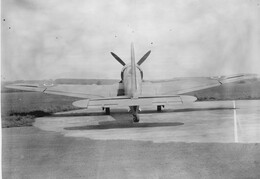 Blackburn Firebrand