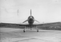 Blackburn Roc