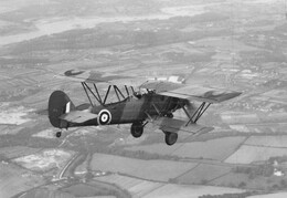 Blackburn Shark