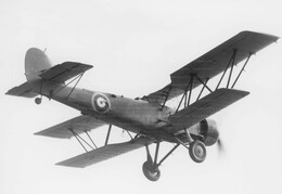 Blackburn Shark